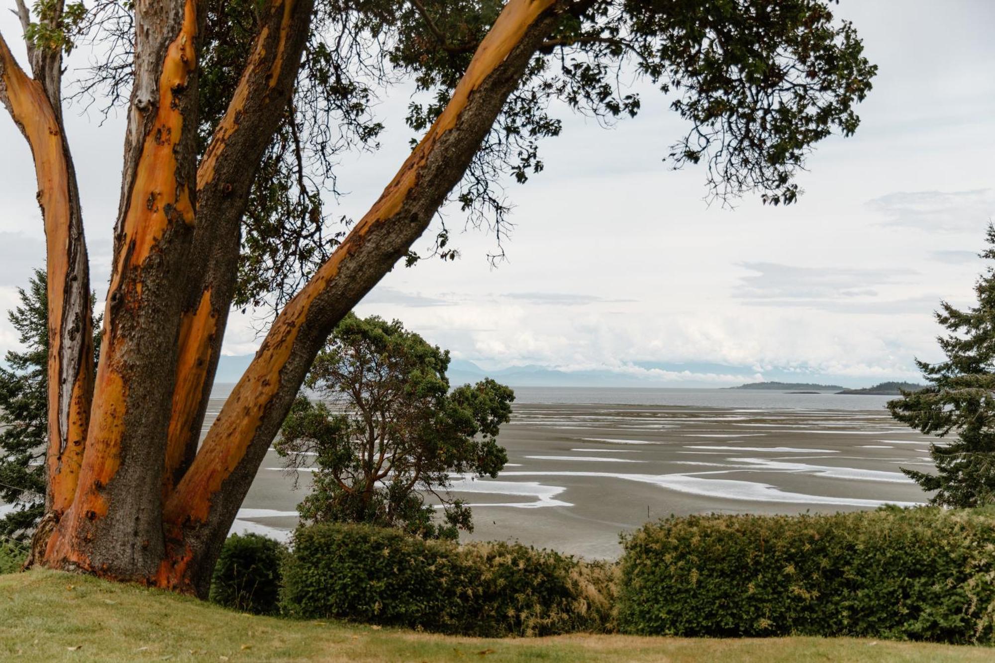 Beach Acres Resort Parksville Pokój zdjęcie